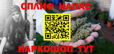 СК Будённовск