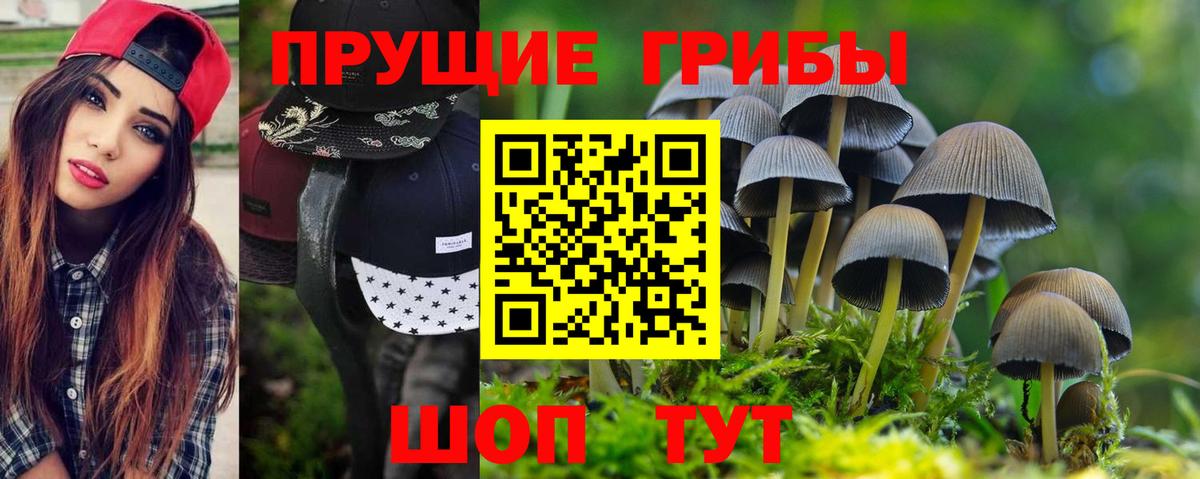 Галлюциногенные грибы мицелий  Вход с VPN  Щёкино  Галлюциногенные грибы ЛСД 